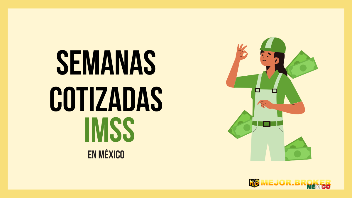 Mis Semanas Cotizadas En El Imss Mejor Broker México 9038